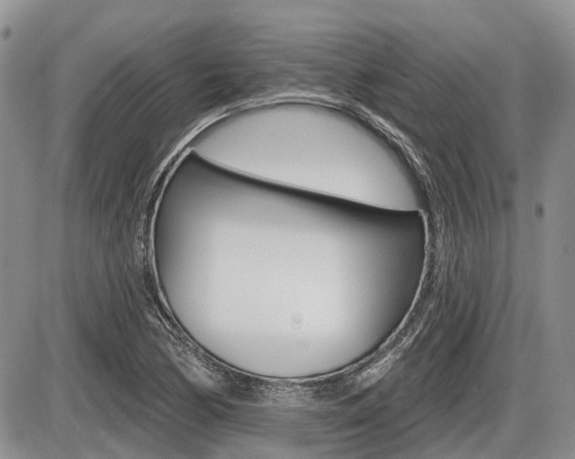 X0000087411170200704201013