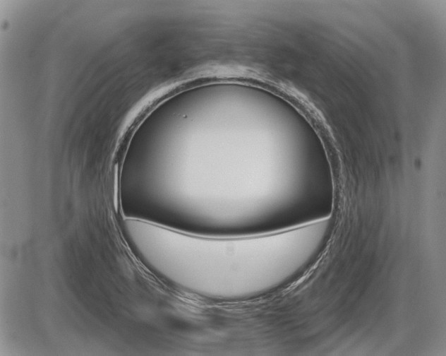 X0000087411175200704201013