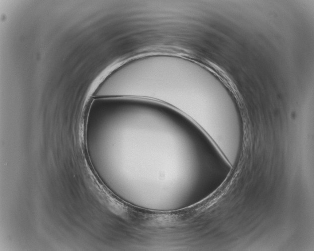 X0000087411188200704201013