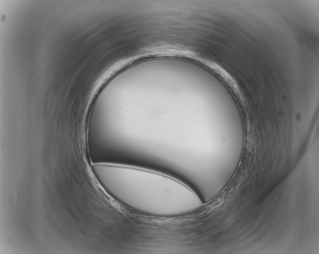 X0000087411191200704201013