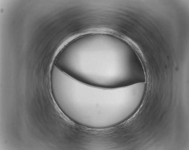 X0000087411192200704201013
