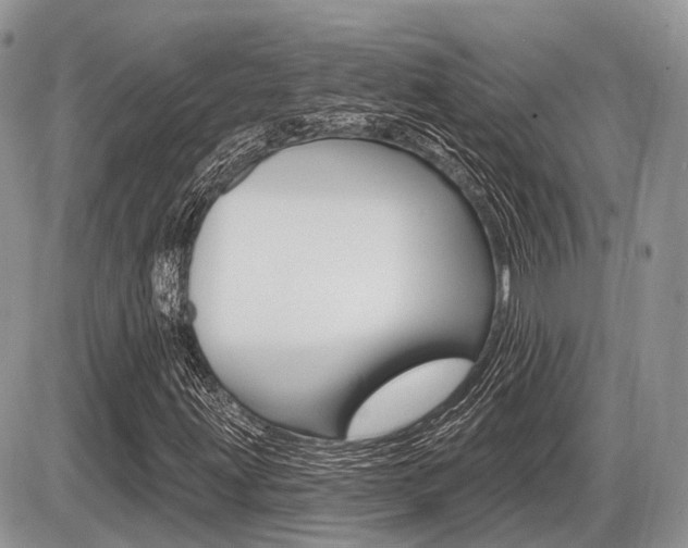 X0000087411203200704201012
