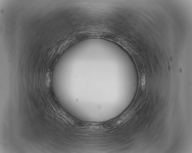 X0000087411204200704201012