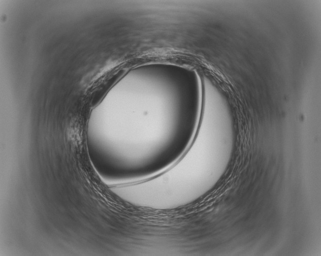 X0000087411206200704201012