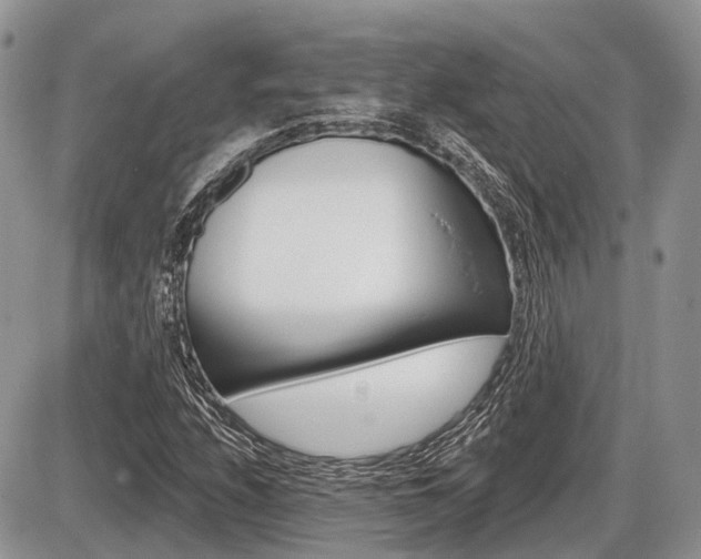X0000087411208200704201012