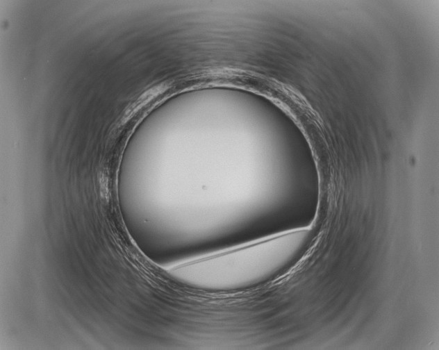 X0000087411209200704201012