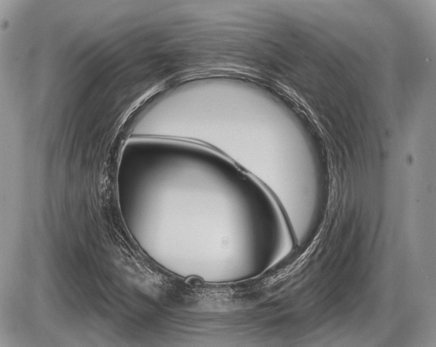 X0000087411210200704201012