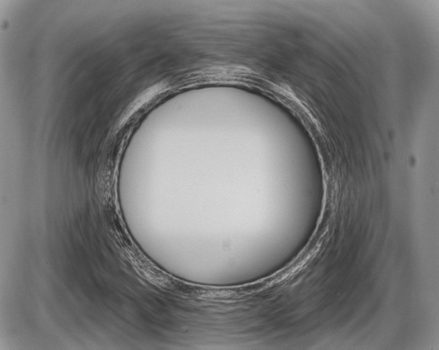 X0000087411211200704201012