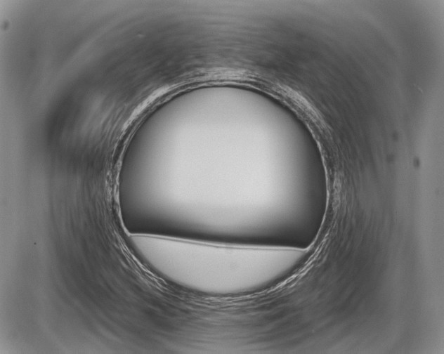 X0000087411212200704201012