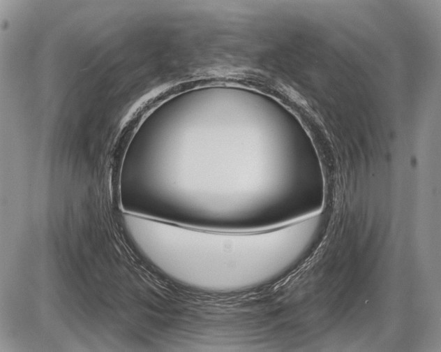 X0000087411214200704201012