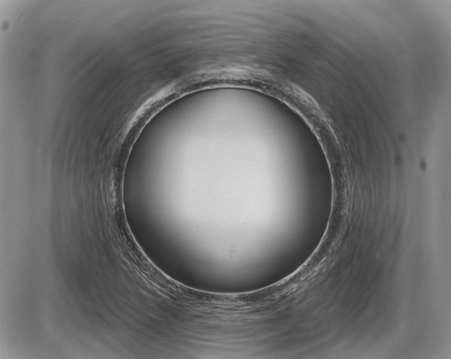 X0000087411218200704201012
