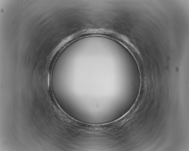 X0000087411221200704201012