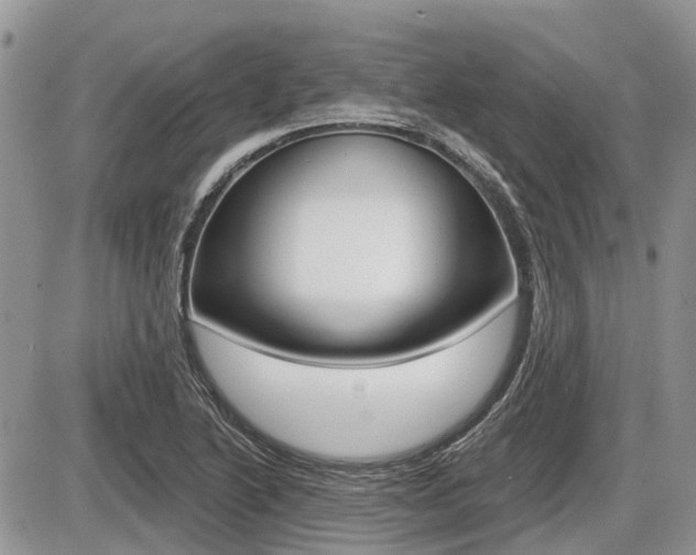 X0000087411222200704201012