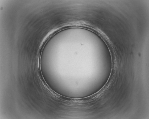 X0000087411224200704201012