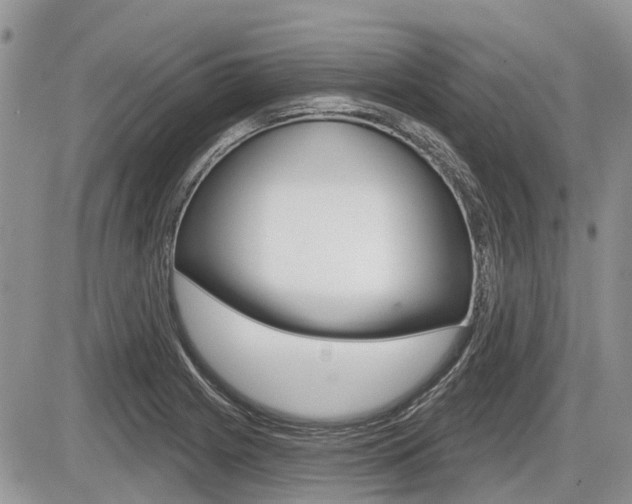 X0000087411225200704201012