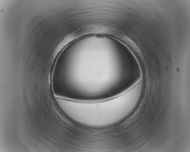 X0000087411226200704201012