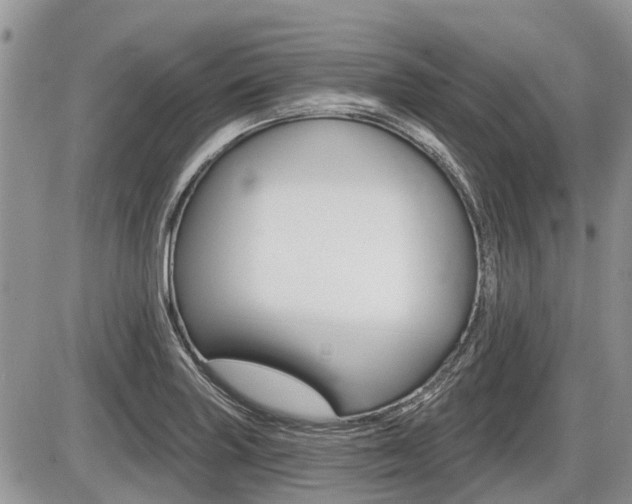 X0000087411227200704201012