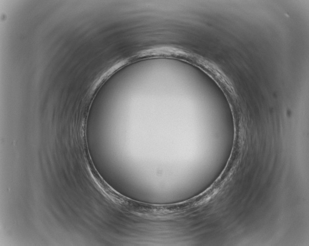 X0000087411233200704201012