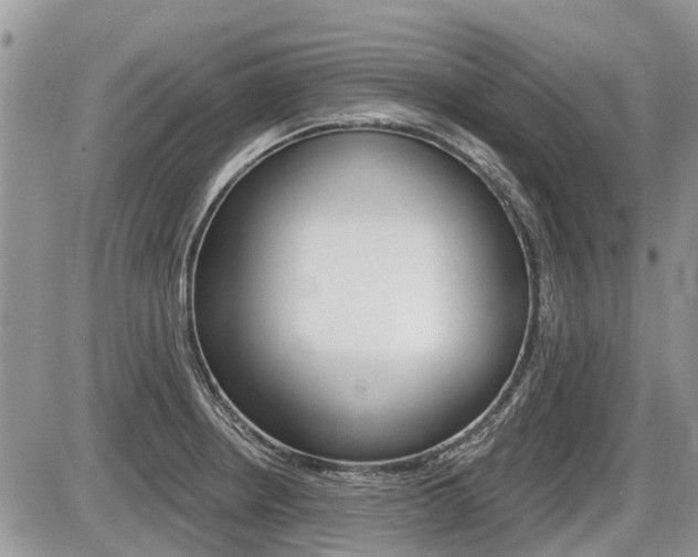 X0000087411234200704201012