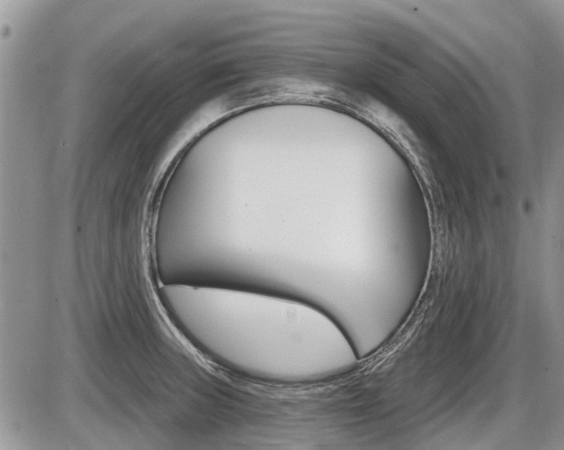X0000087411235200704201012