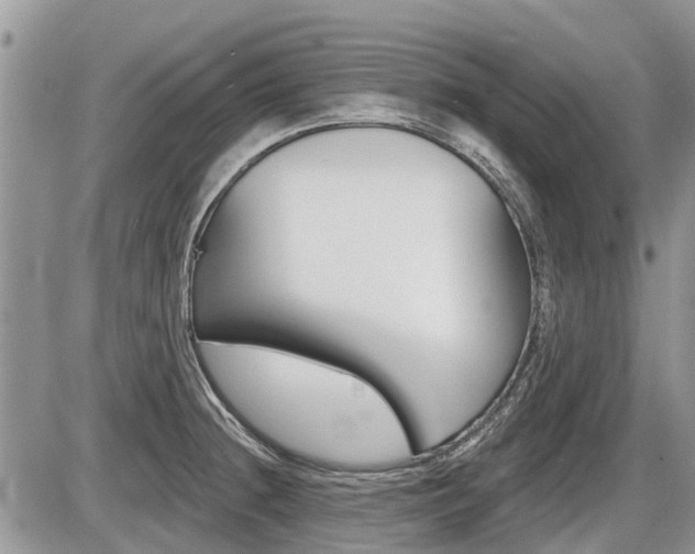 X0000087411236200704201012