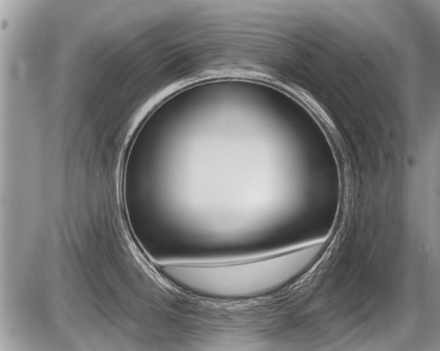 X0000087411246200704201012
