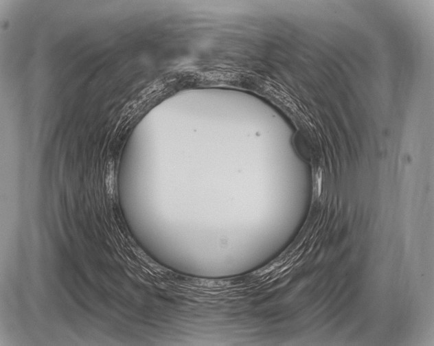 X0000087411251200704201012