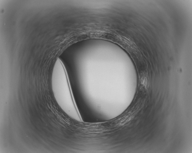 X0000087411252200704201012