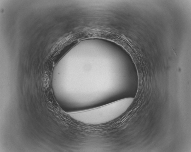 X0000087411253200704201012