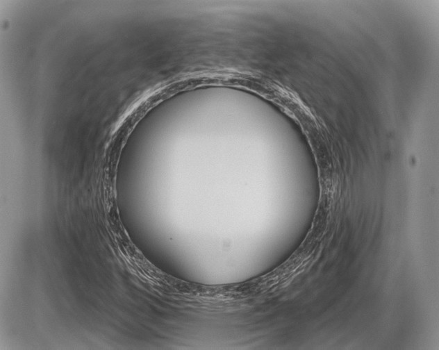 X0000087411256200704201011