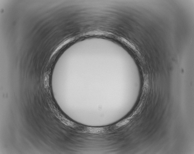 X0000087411258200704201011