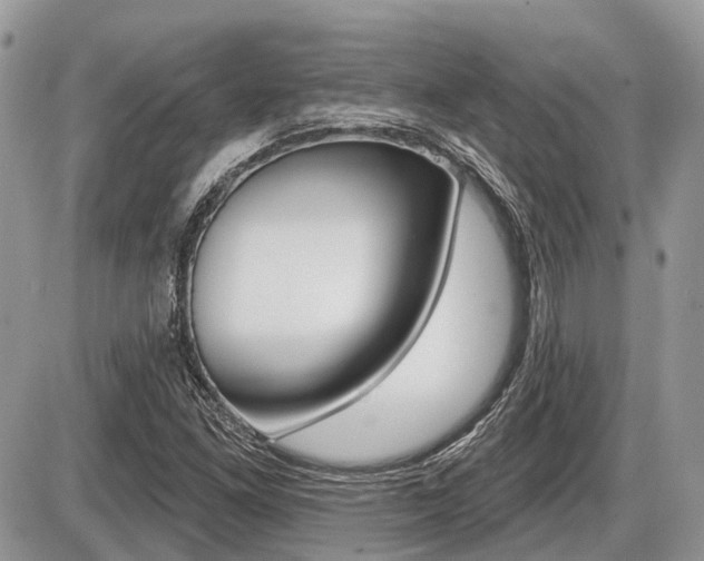 X0000087411261200704201011
