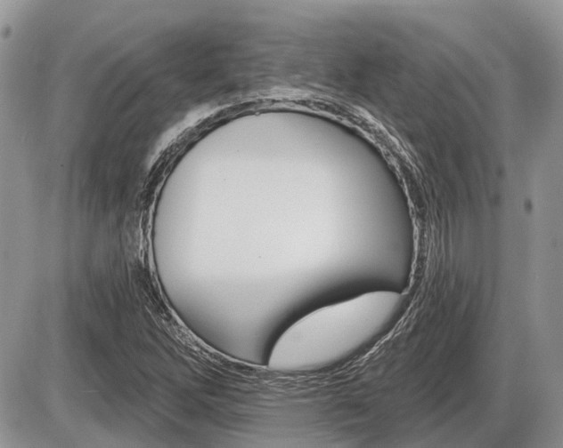 X0000087411262200704201011