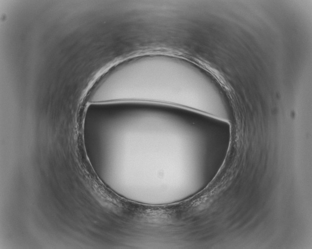X0000087411264200704201011