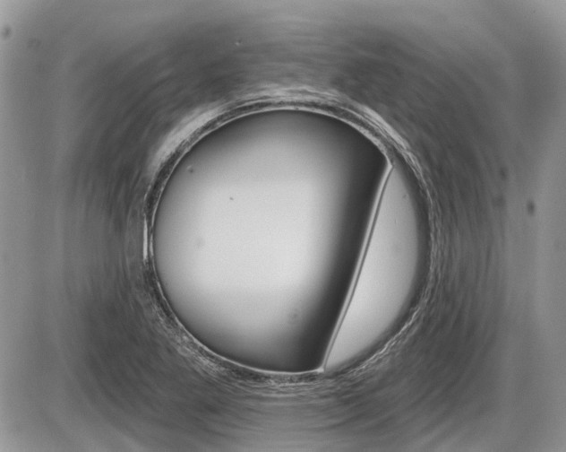 X0000087411269200704201011