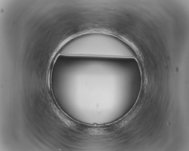 X0000087411272200704201011