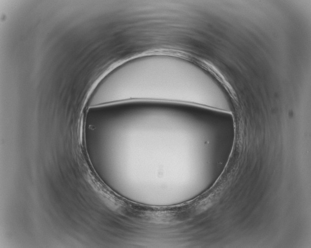 X0000087411276200704201011