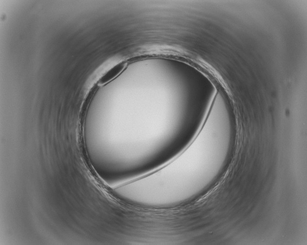 X0000087411277200704201011