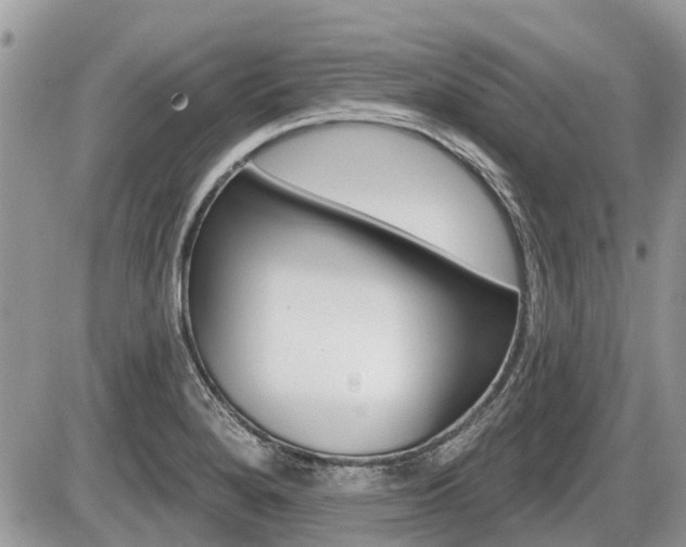 X0000087411280200704201011
