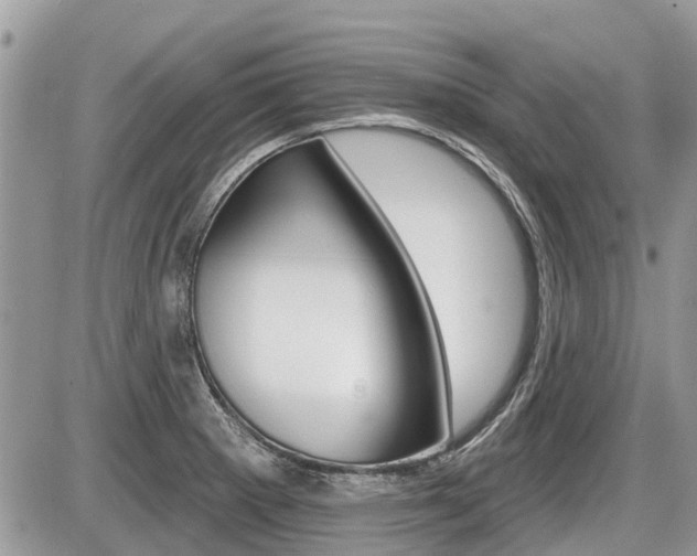 X0000087411281200704201011
