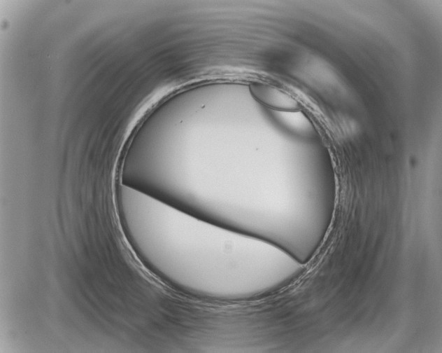 X0000087411283200704201011
