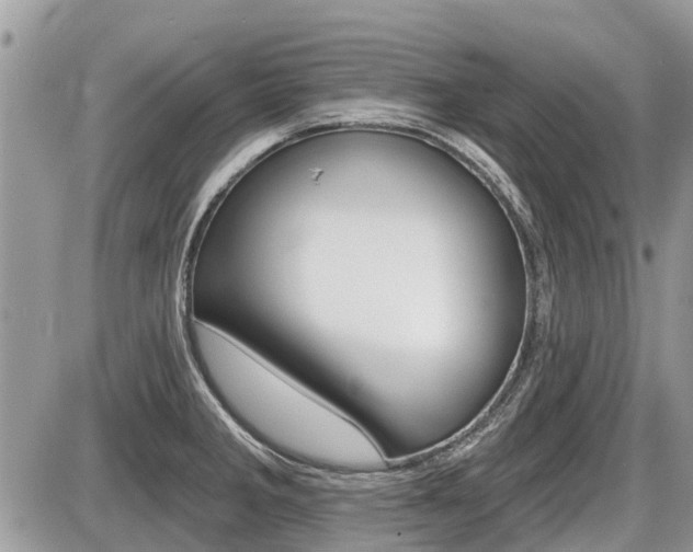 X0000087411285200704201011