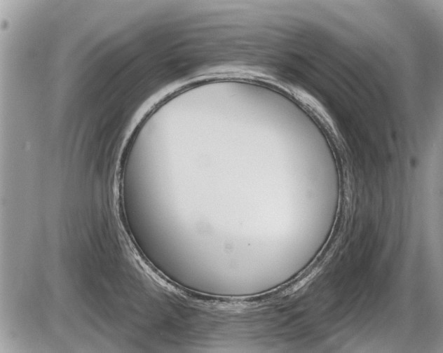 X0000087411288200704201011