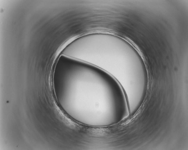X0000087411293200704201011