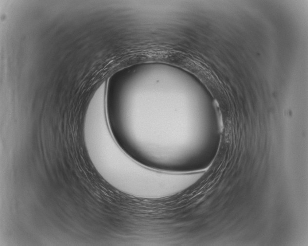 X0000087411298200704201010