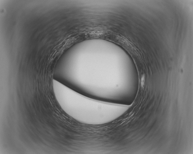 X0000087411299200704201010