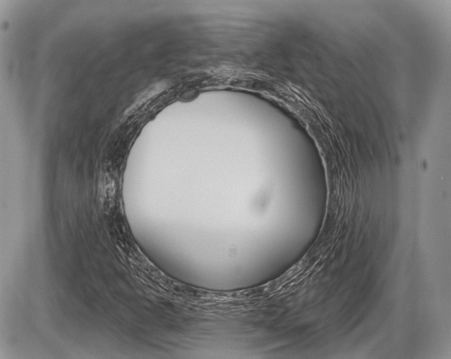 X0000087411302200704201010