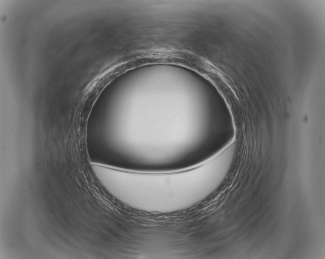 X0000087411304200704201010