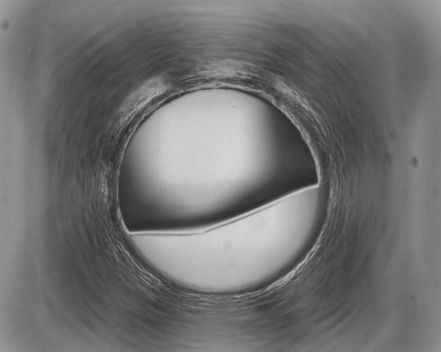 X0000087411305200704201010