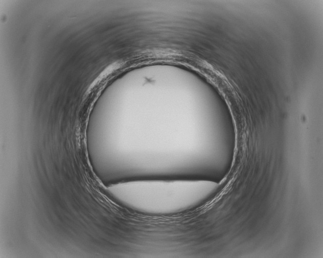X0000087411306200704201010